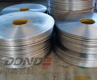 緙犵粫鍨墖鎴愬瀷閽㈠甫